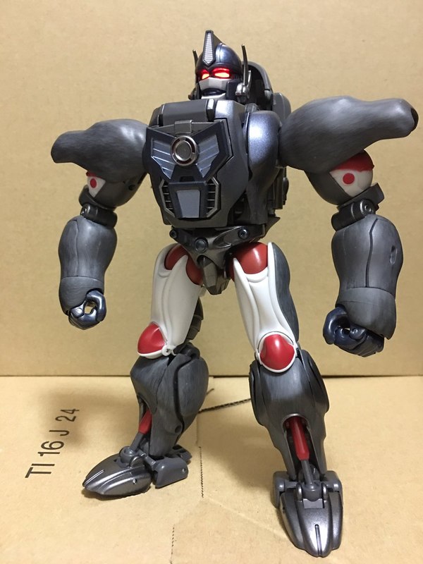 MP 32 Masterpiece Optimus Primal   In Hand Photos Surface On Twitter  (73 of 81)